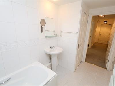 Picture 11